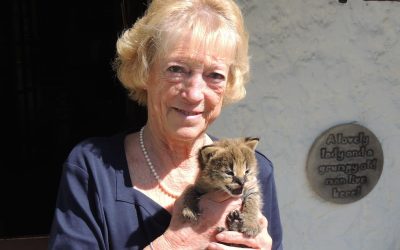 May & June 2017 Newsletter – Lynx cubs born at Cornwall Nature Conservancy