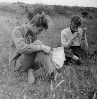 Winchester Hill 1960 - tagging butterfly population